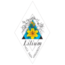 Lilium logo