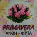 Ανθοπωλείο Primavera logo