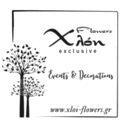 ΑΝΘΟΠΩΛΕΙΟ ΧΛΟΗ logo