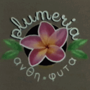 Ανθοπωλείο Plumeria logo