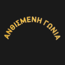Ανθισμένη Γωνία logo