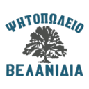Βελανιδιά logo