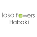 Iaso Flowers Χαμπάκη logo