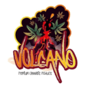 Volcano cannabis shop logo