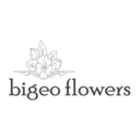 Bi-Geo flowers logo