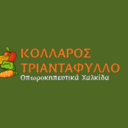 Τριαντάφυλλος Κολλάρος logo