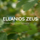 Ellanios Zeus logo