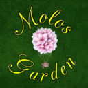 Ανθοπωλείο Molos Garden logo