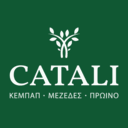 CATALI logo