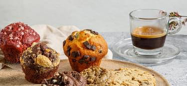 Coffee berry Καλλιθέας